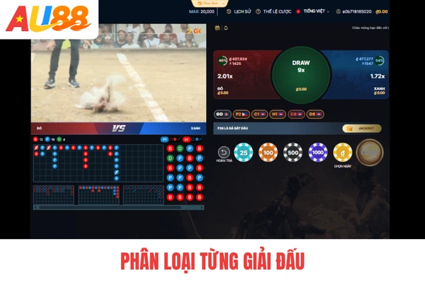 Phân loại từng giải đấu