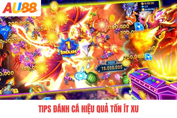 Tips đánh cá hiệu quả tốn ít xu Tips đánh cá hiệu quả tốn ít xu